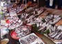 pesce