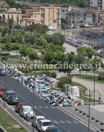 Lungomare invaso dai topi, panico a via Napoli