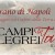 Si abbassa il sipario sulla seconda edizione di “Campi Flegrei in Tour”