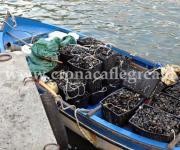 Pozzuoli/Sequestro di frutti di mare a Toiano e Monteruscello