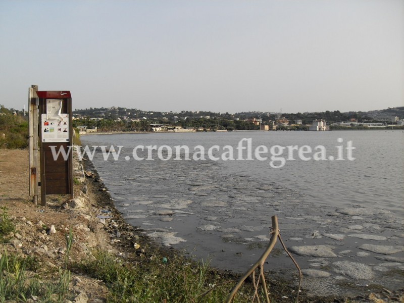 Fusaro, melma e fogna invadono il lago