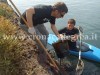 BACOLI/ Volontari e associazioni ripuliscono il lago Miseno/ le foto