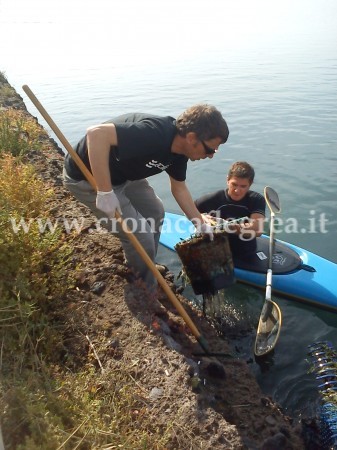 BACOLI/ Volontari e associazioni ripuliscono il lago Miseno/ le foto