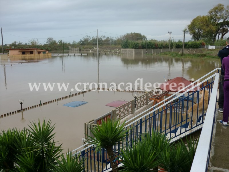 Straripa l’alveo dei Camaldoli a Licola, case e auto sommerse dall’acqua. 36 famiglie evacuate, decine di animali morti. Completamente distrutto un ristorante/ TUTTE LE FOTO