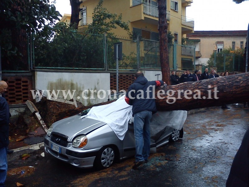 ULTIMISSIMA/ Un morto a Pozzuoli. Un albero è caduto ad Arco Felice schiacciando un uomo nella sua auto/ LE FOTO SHOCK