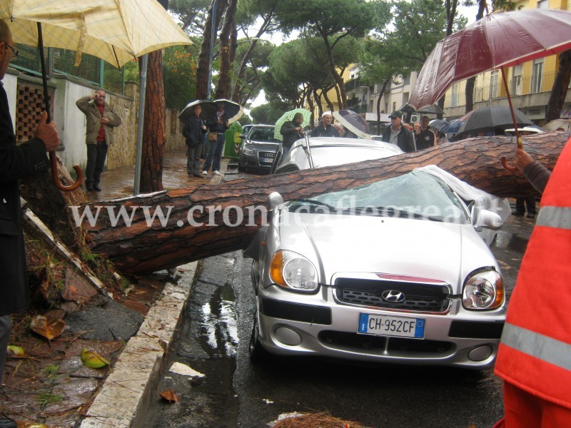 Maltempo, tragedia a Pozzuoli: 64enne muore schiacciato da un albero/ LE FOTO