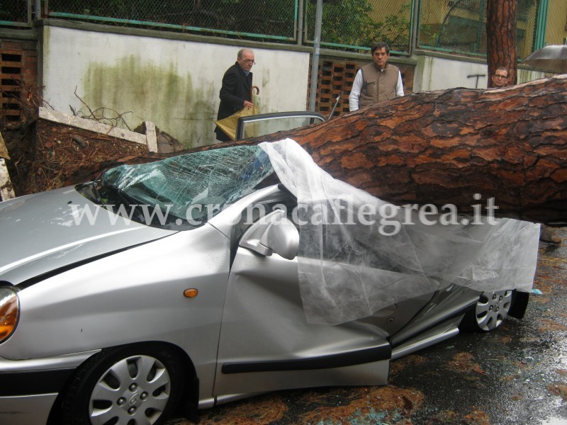 Tragedia di Arco Felice, sequestrato l’albero-killer. Si cercano i colpevoli?