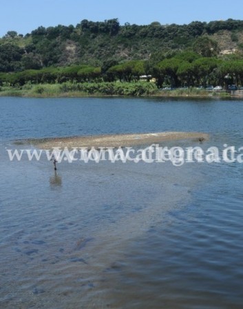 POZZUOLI/ Abusi sul Lago Lucrino, denunciato imprenditore