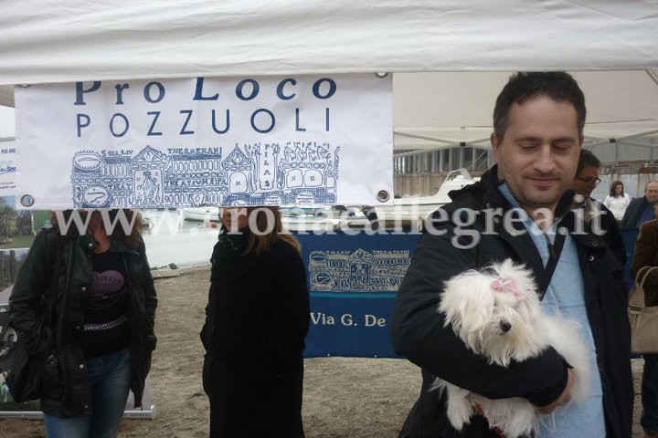 POZZUOLI/ Grande successo per la quarta edizione de “La giornata del cane”