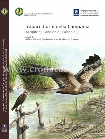 POZZUOLI/ Lunedì 23 presentazione de “I Rapaci diurni della Regione Campania”