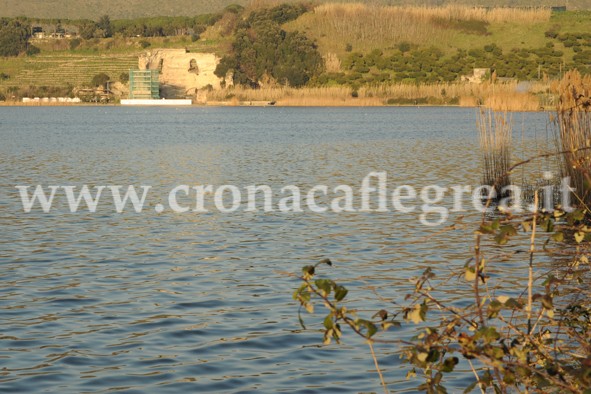 LAGO D’AVERNO/ Muoiono anche i pesci piccoli. Intanto l’aria rimane infestata