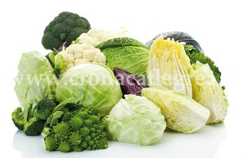 Broccoli e cavoli contro il cancro al seno