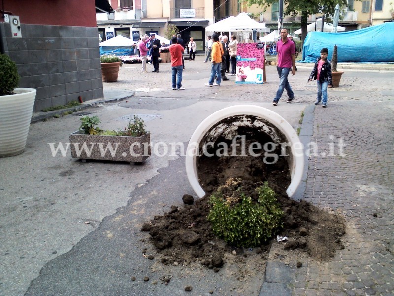 POZZUOLI/ E’ ancora Movida “selvaggia”: vandalizzata per la quarta volta via Cosenza – LE FOTO