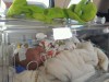 Nasce nei Campi Flegrei il primo soccorso aereo per neonati – LE FOTO