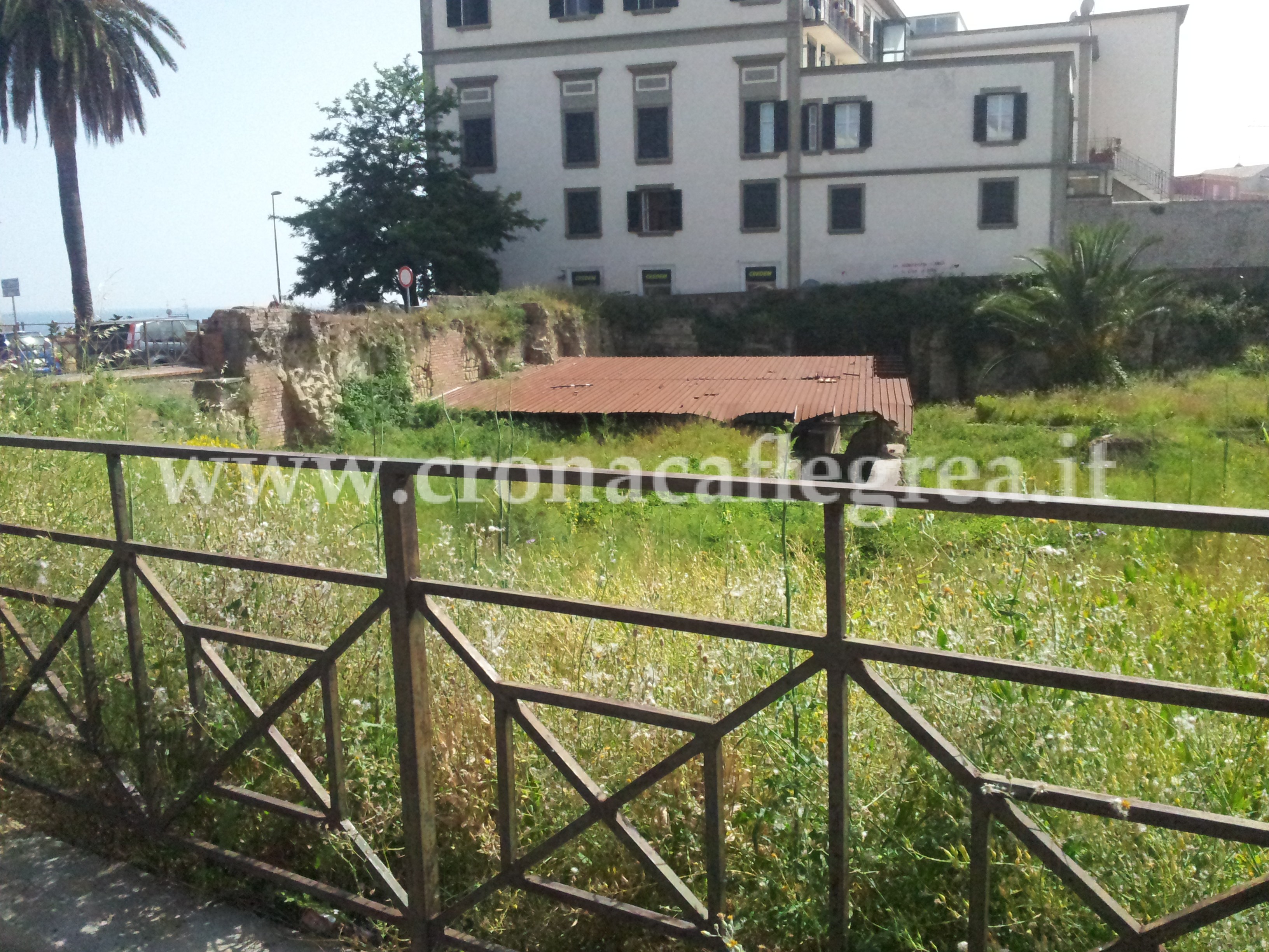 FOTONOTIZIA/ Pozzuoli, la “Scuola dei Flautisti” di epoca romana torna ad essere una “giungla”