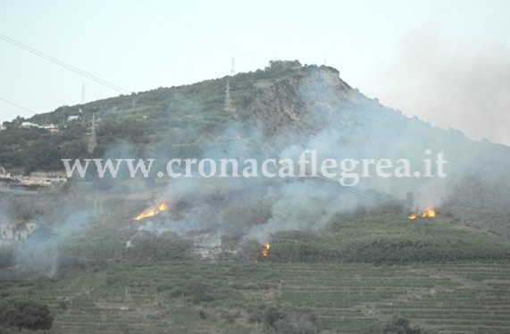 POZZUOLI/ Problema incendi, a chi giova distruggere la vegetazione?