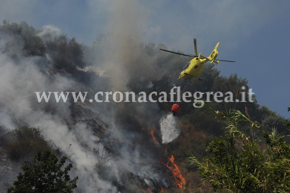 BACOLI/ Caldo e afa, divampa incendio sullo Scalandrone – LA FOTOSEQUENZA