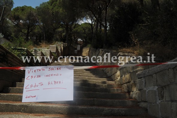 POZZUOLI/ “Pericolo caduta alberi”: chiusa l’oasi naturalistica di Monte Nuovo – LE FOTO