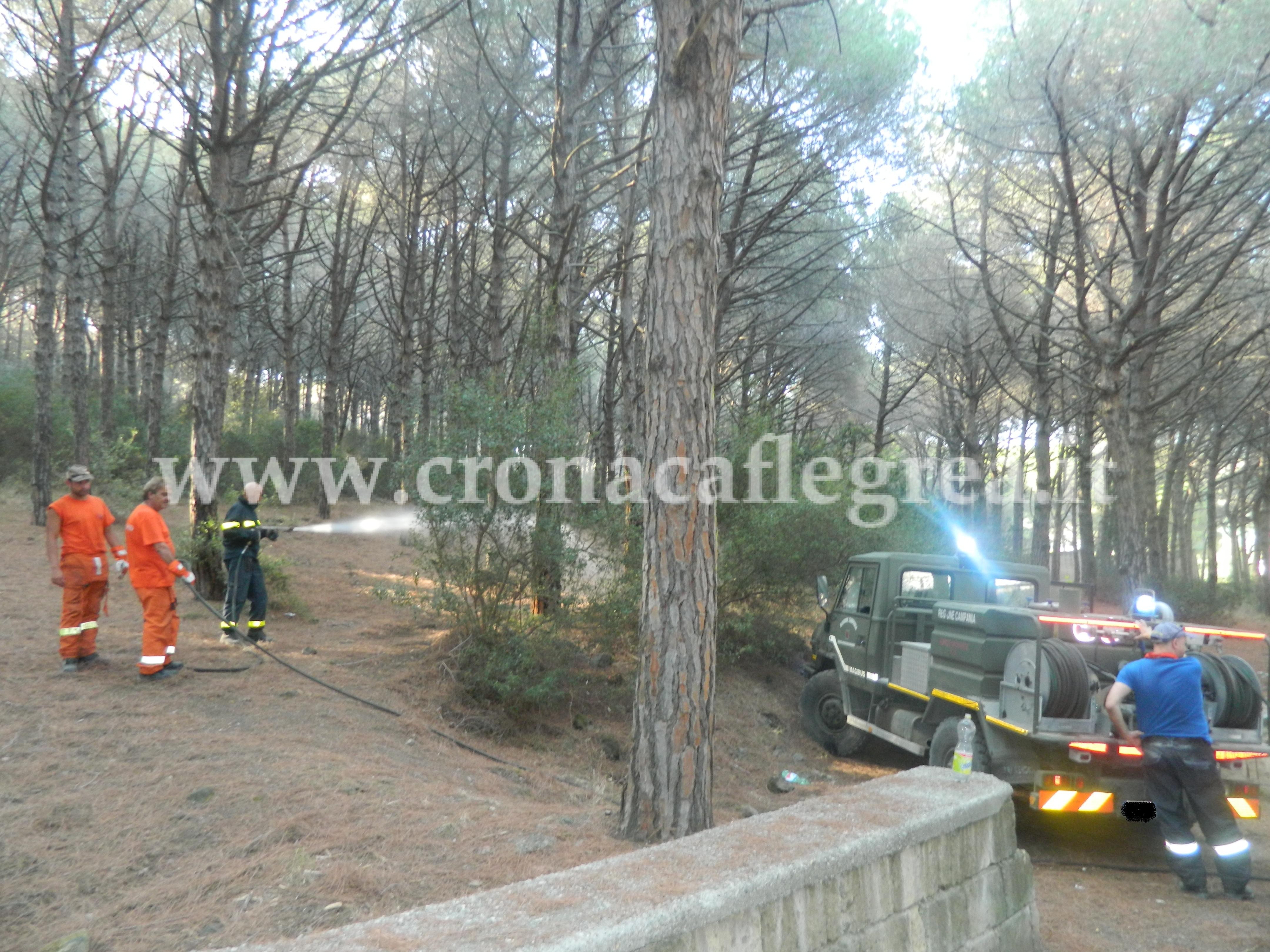 POZZUOLI/ Monte Nuovo, dopo giorni di incendi domate le fiamme