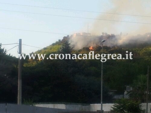 POZZUOLI/ Brucia anche il monte Sant’Angelo, le fiamme lambiscono le abitazioni