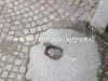 FOTONOTIZIA/ Emergenza topi in Via Roma?