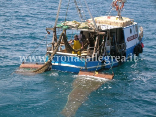 Perplessità da parte dei pescatori