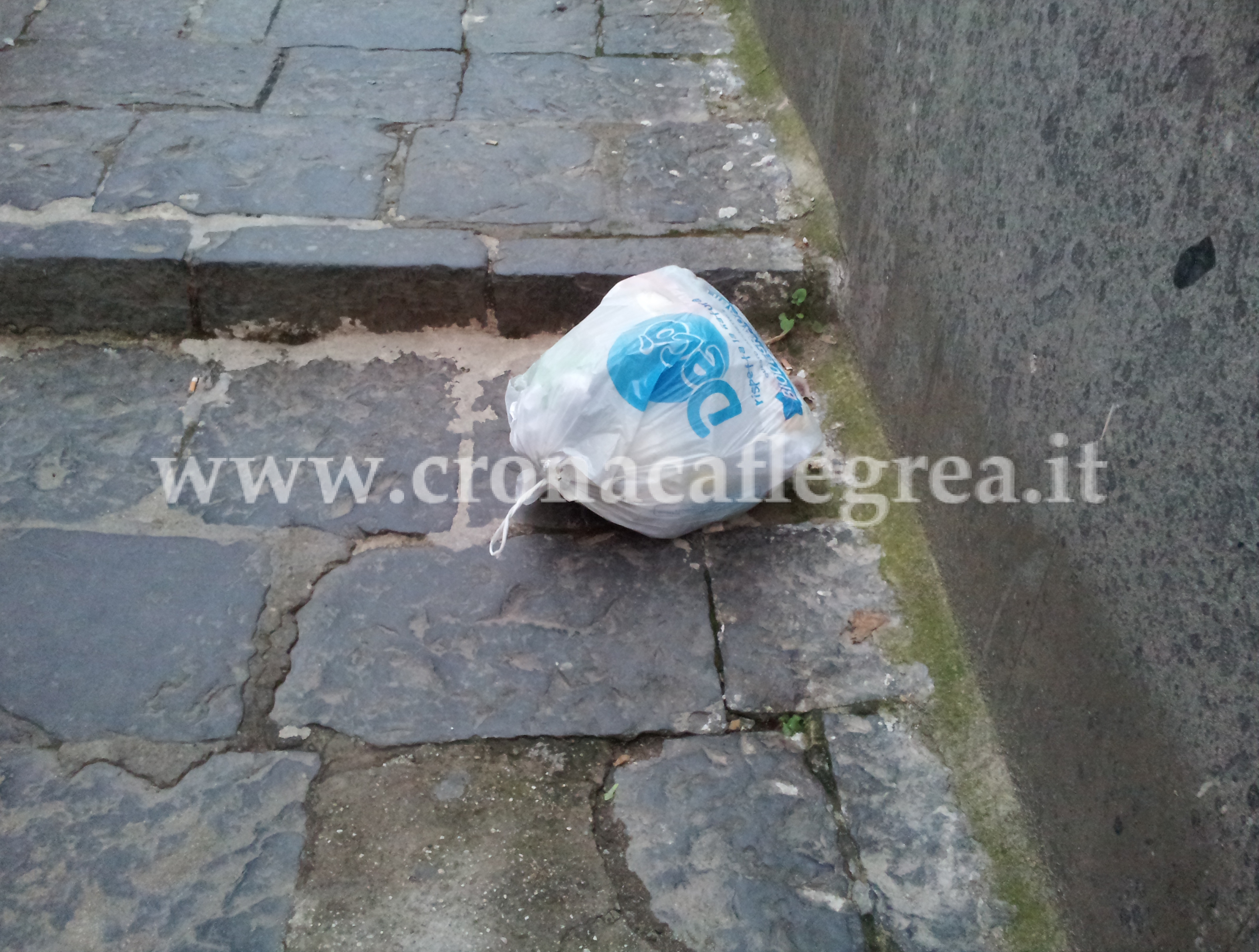 FOTONOTIZIA/ Via Napoli, nonostante il “porta a porta” i sacchetti continuano a volare in strada