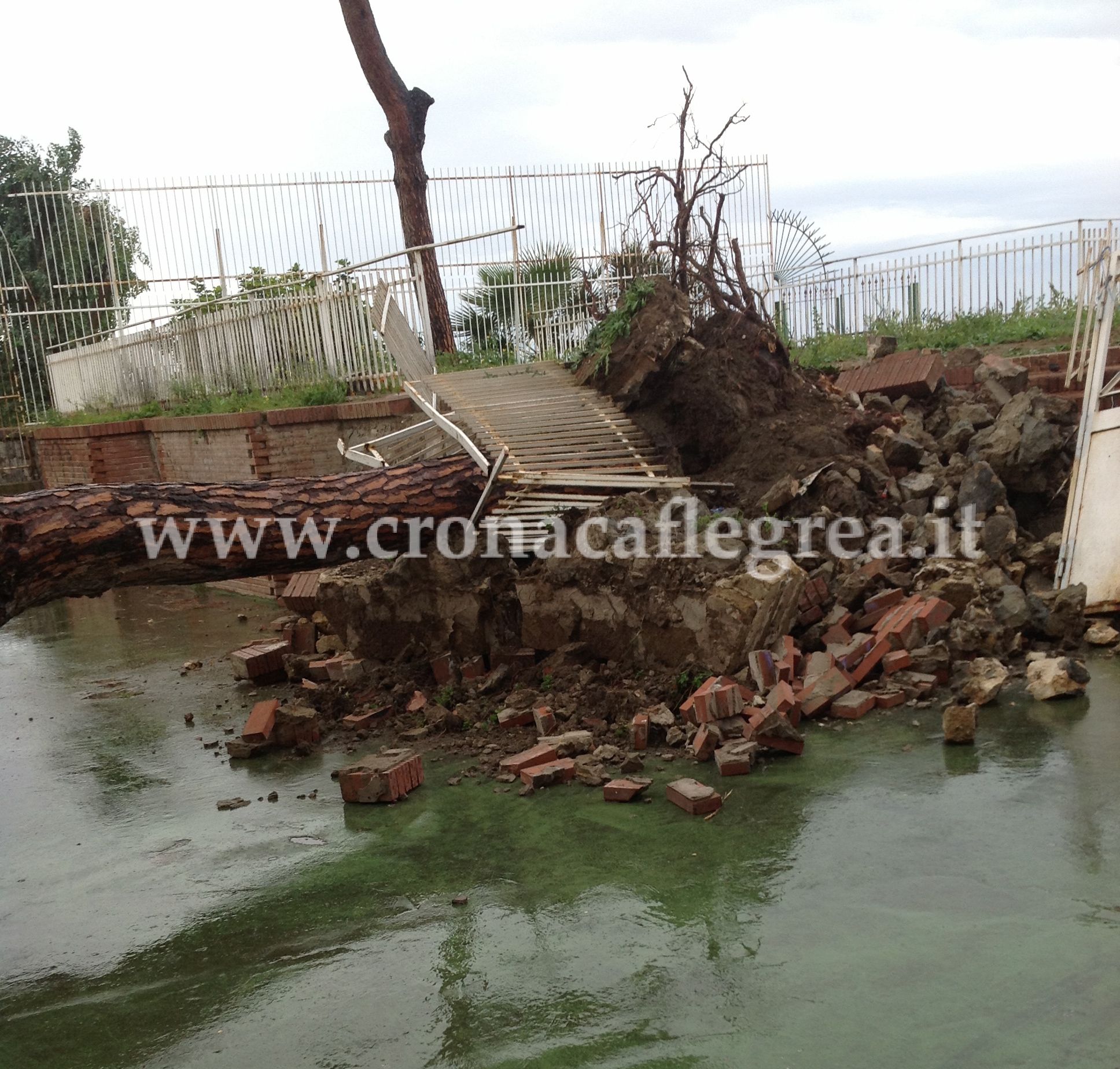 MALTEMPO/ Notte di pioggia e vento, a Pozzuoli continuano a cadere alberi