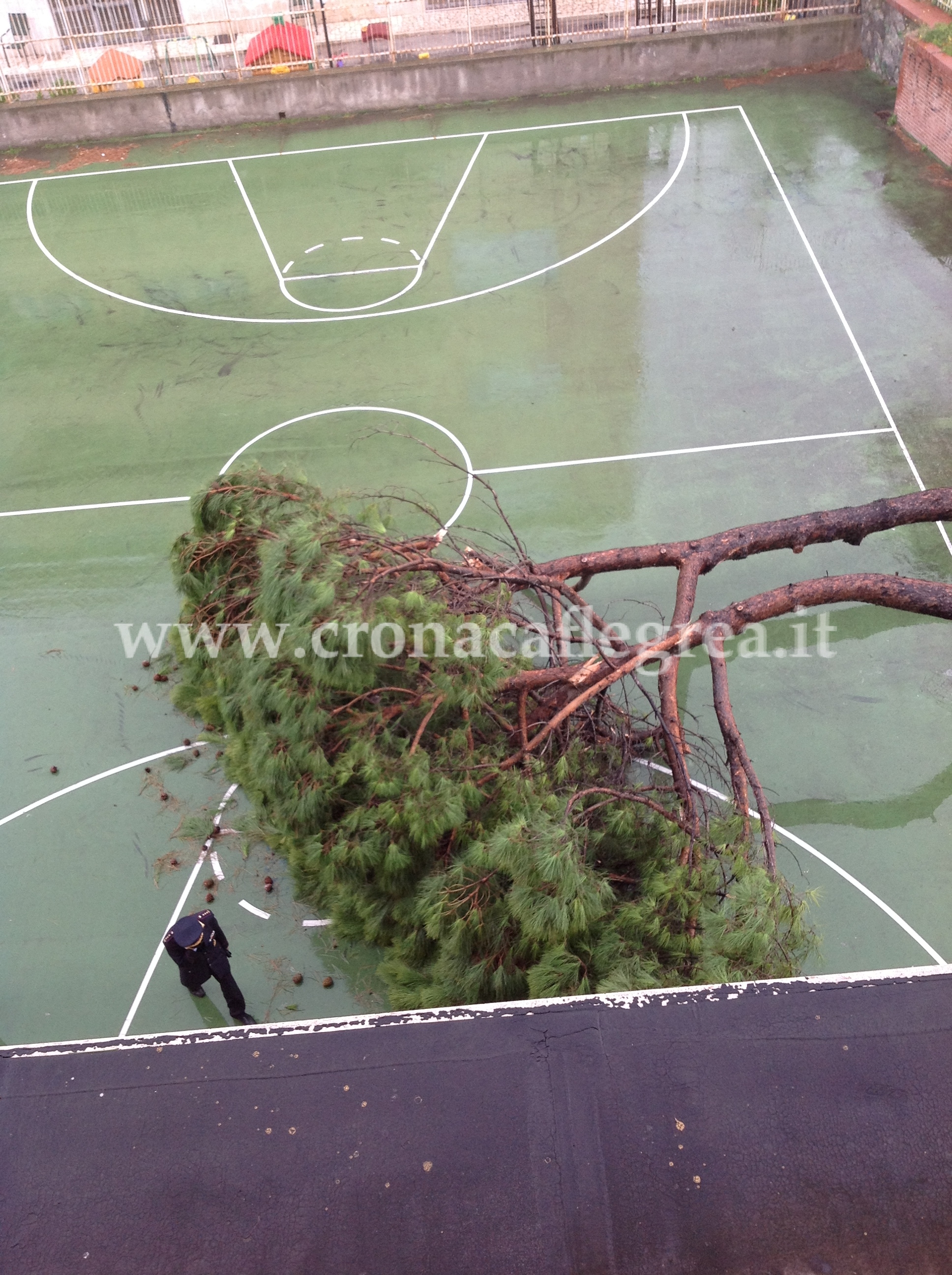 MALTEMPO/ Cade albero nel cortile della scuola “Immacolata” – LE FOTO