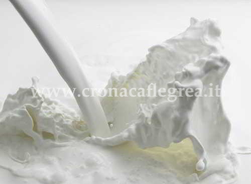 Latte, sport e riposo contro il cancro al colon