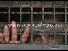EVENTI/ Si parla di prigionieri politici alla Conferenza Internazionale di Solidarietà