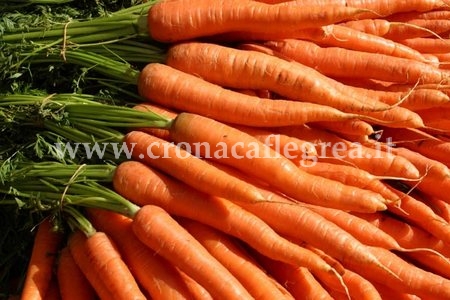 Tempo di “Super-Foods” raccontati dal dottor Rosario Porzio: le carote
