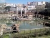 POZZUOLI/ Il “Tempio di Serapide” affonda ancora nell’acqua