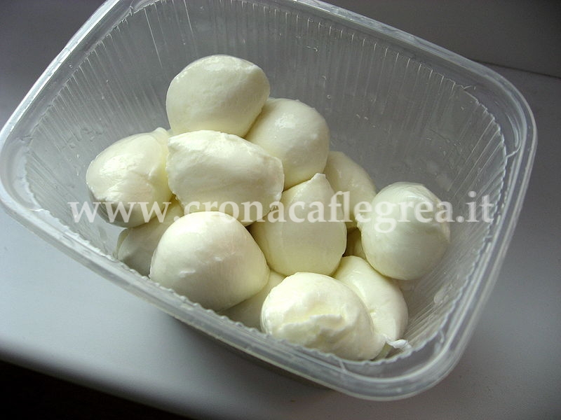 BACOLI/ Eliminata la mozzarella dalle scuole