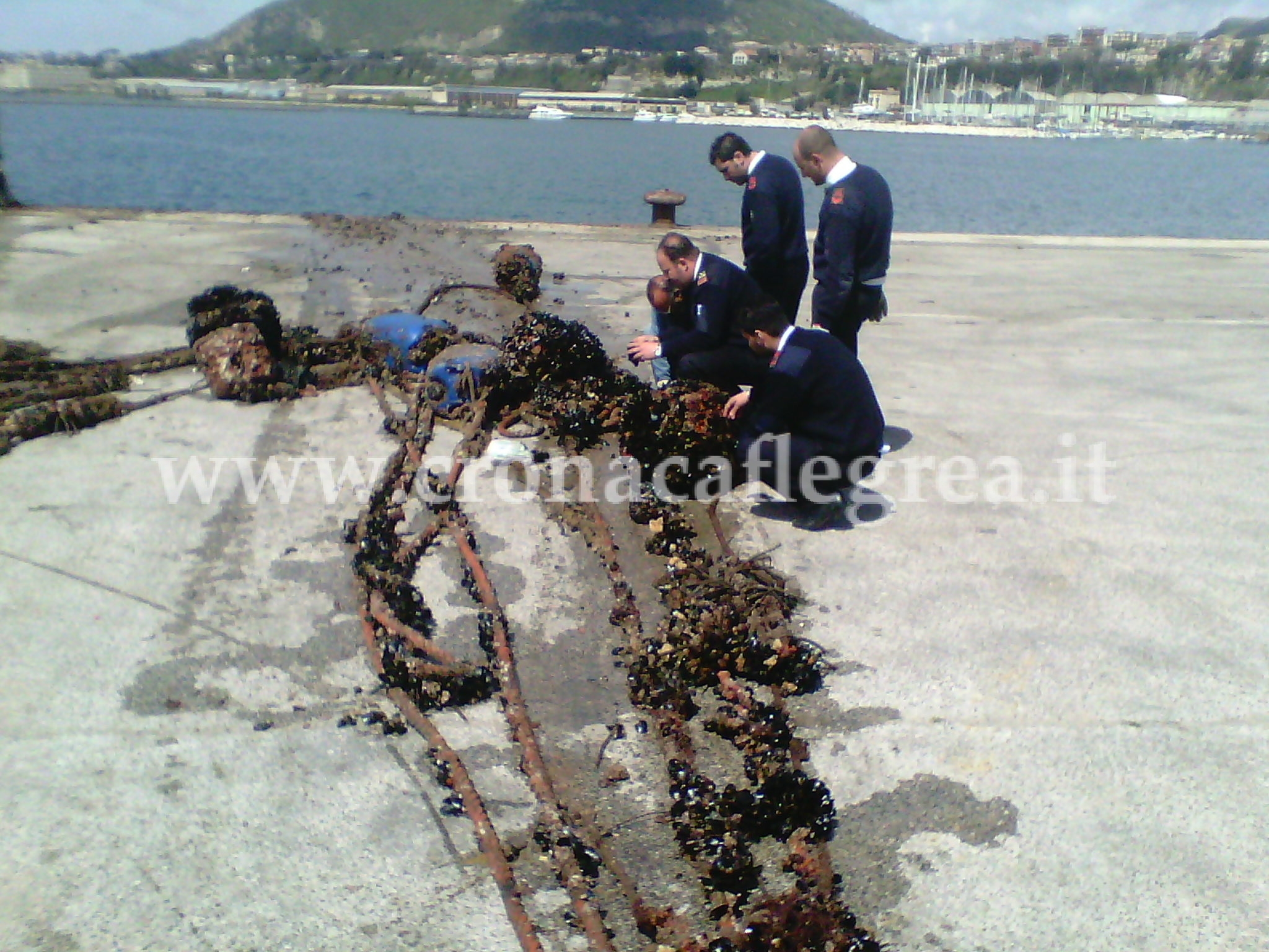 POZZUOLI/ Scoperto campo mitili abusivo tra via Napoli e Bagnoli, sequestrate 30 tonnellate di cozze – LE FOTO