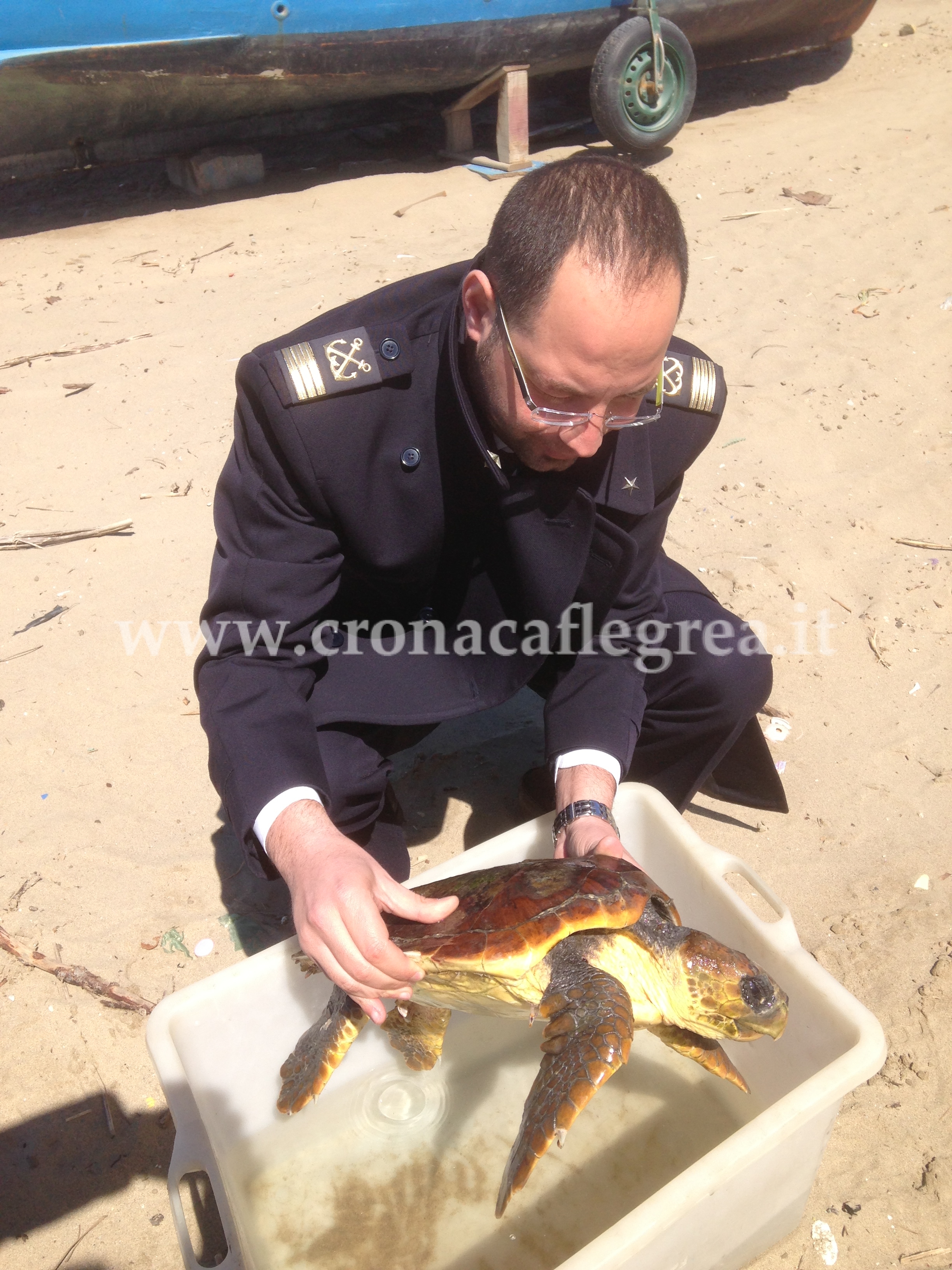 POZZUOLI/ Mare in tempesta, salvata la seconda “Caretta Caretta”