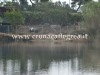 POZZUOLI/ “Scompare” canneto, scempio misterioso sul Lago Lucrino – LE FOTO