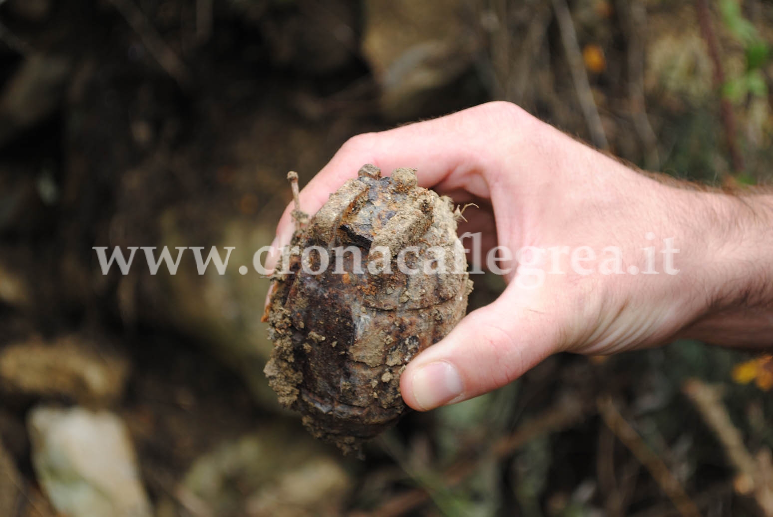 MONTE DI PROCIDA/ Bomba a mano e mortaio in casa «Li ho comprati al mercatino»