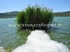 POZZUOLI/ Lago D’Averno invaso da una “strana” schiuma bianca – LE FOTO