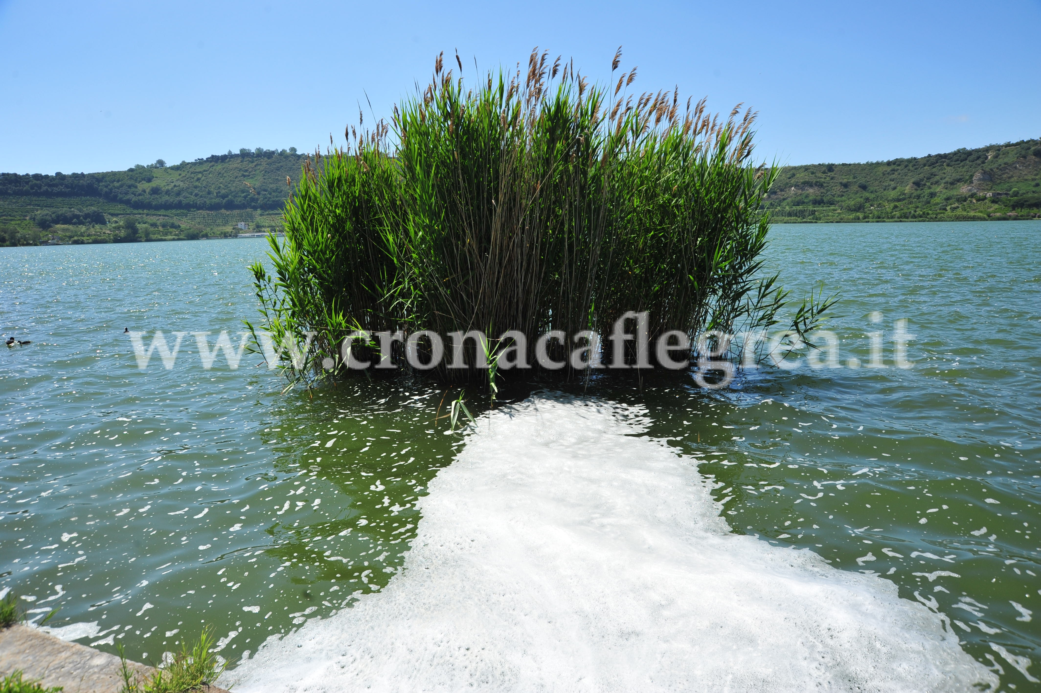 POZZUOLI/ Lago D’Averno invaso da una “strana” schiuma bianca – LE FOTO