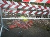 FOTO SHOCK/ Monterusciello: cateteri insanguinati lasciati in strada