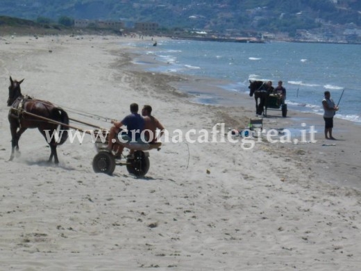 Cavalli allenati per corse clandestine sulle spiagge di Cuma e Torre del Greco
