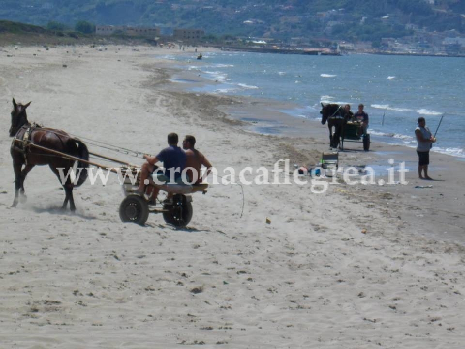 POZZUOLI/ Scoperto maneggio illegale a Licola