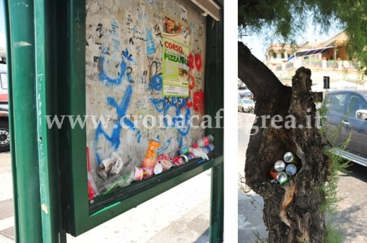 Sia la ensilina della fermata degli autobus sia un albero sono diventati due nuovi cestini per i rifiuti