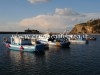 MONTE DI PROCIDA/ Acquacoltura, se ne parla domani in aula consiliare