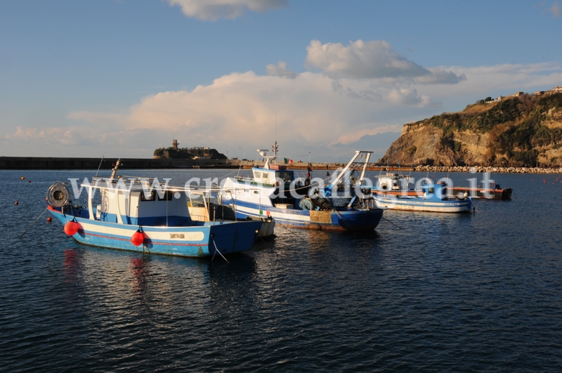 MONTE DI PROCIDA/ Renga e i “Ditelo Voi” alla Festa dell’ Assunta