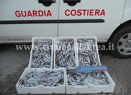 POZZUOLI/ Pesca e vendita vietata, sequestrati merluzzetti sotto taglia