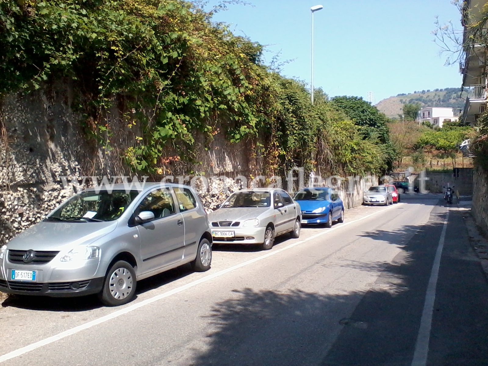 «Giardinieri del comune assenti in via Giacinto Diano»