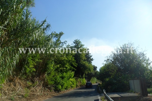 POZZUOLI/ Tragedia a Licola, 58enne trovato impiccato a un albero