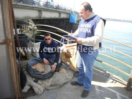 I controlli da parte di Polizia e Guardia Costiera a Pozzuoli